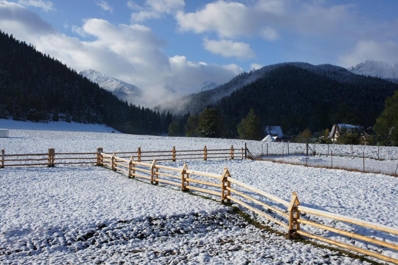 Willa Pod Nosalem III Zakopane Bagian luar foto