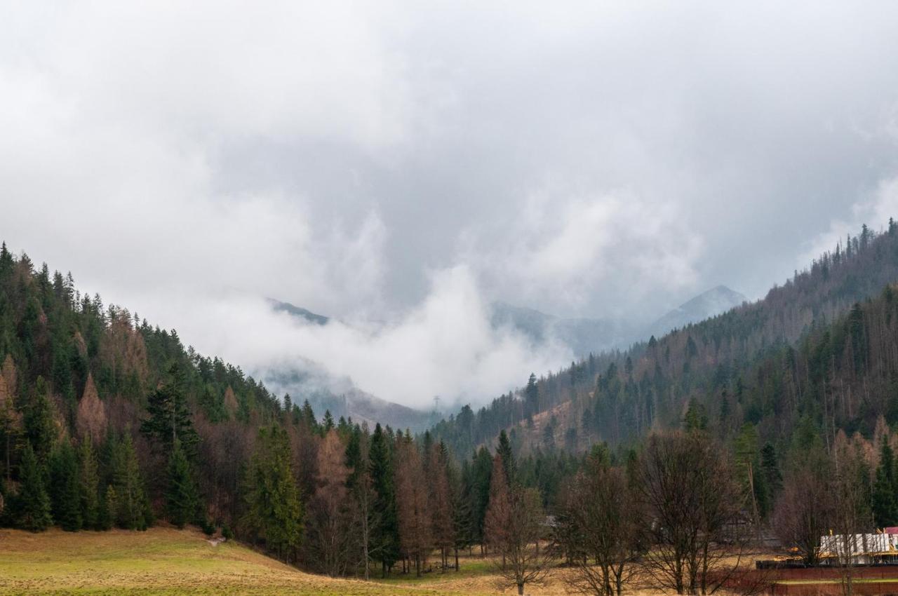 Willa Pod Nosalem III Zakopane Bagian luar foto